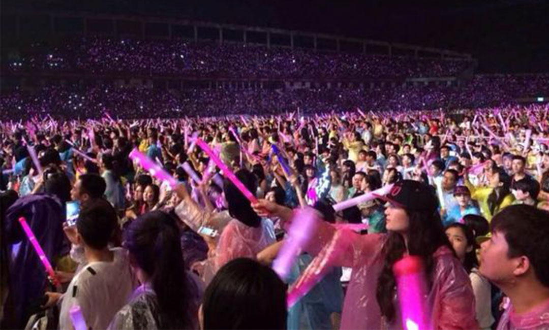 南充多浪微视微网站开发案例